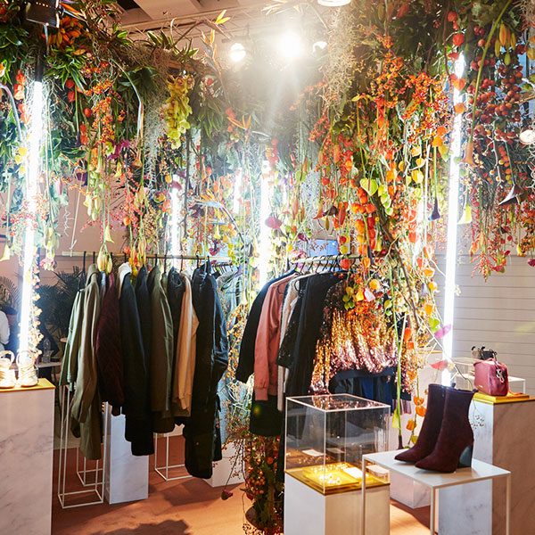 espace vanderborght